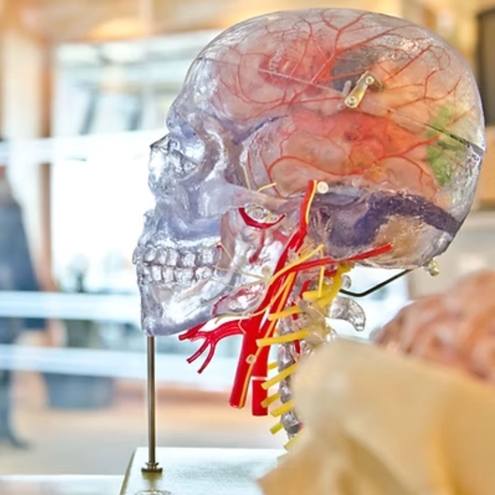 tumor markers rapid tests tumor markers rapid tests