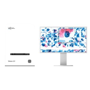 Vision A1